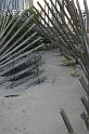IMG_20070901_3532