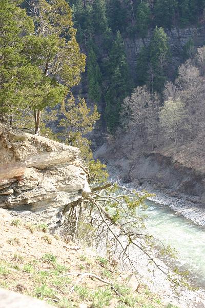 IMG_20080419_5132.JPG