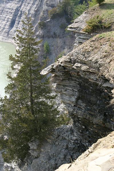 IMG_20080419_5149.JPG