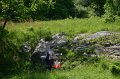 IMG-20100515-7437