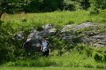 IMG-20100515-7465