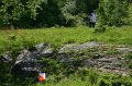 IMG-20100515-7467