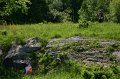 IMG-20100515-7532