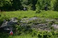 IMG-20100515-7537