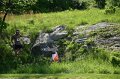IMG-20100515-7543