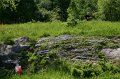 IMG-20100515-7552