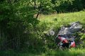 IMG-20100515-7560