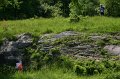 IMG-20100515-7566