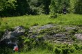 IMG-20100515-7579