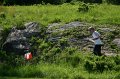 IMG-20100515-7600