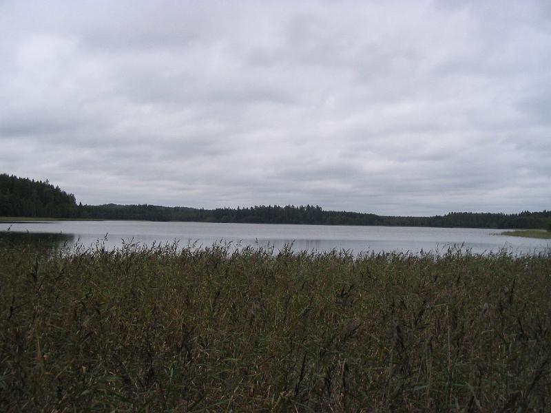 IMG_20080913_161.jpg