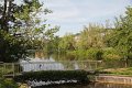 IMG_2782