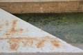 IMG_2797