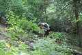 IMG_3074