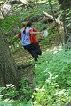 IMG_3091